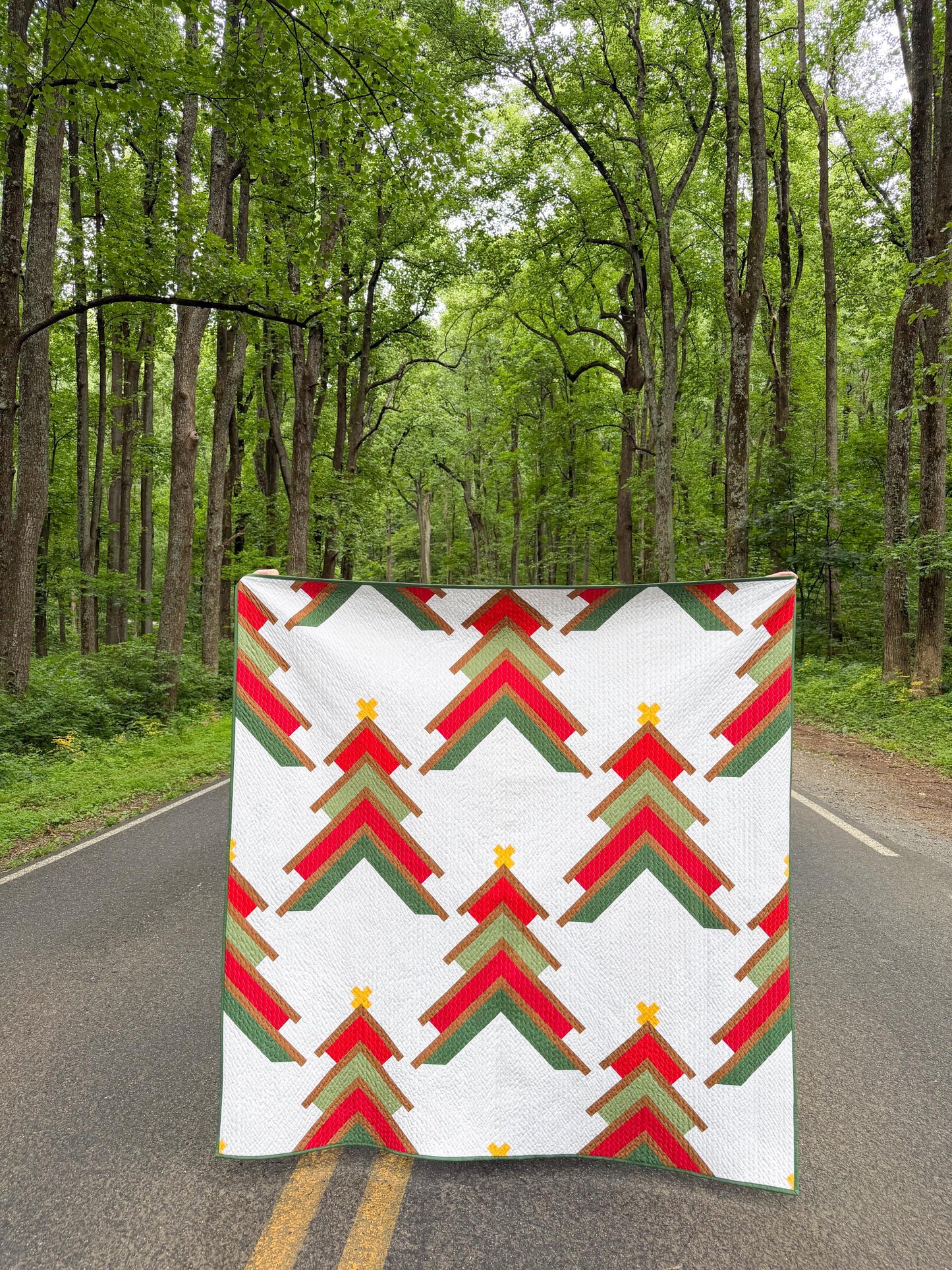 Booked for the Holidays Quilt Kit by Heartlake Quilts Christmas Tree Forest Winter Holiday Scrappy Quilt Kit - PATTERN NOT INCLUDED