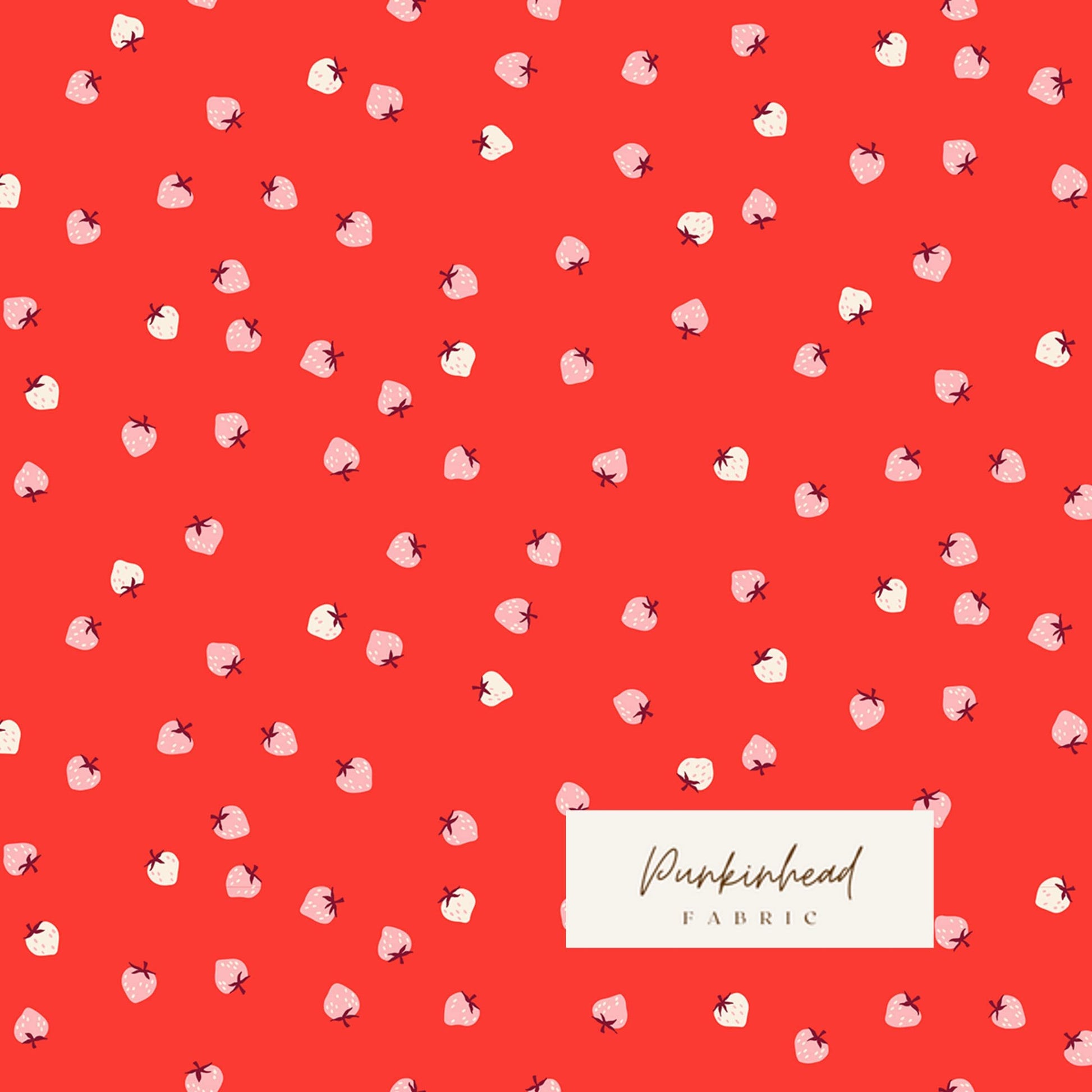 Ruby Star Society Strawberry Lollipop Red Pink by Kimberly Knight for Moda Retro Floral Summer Spring Cotton Quilting Fabric