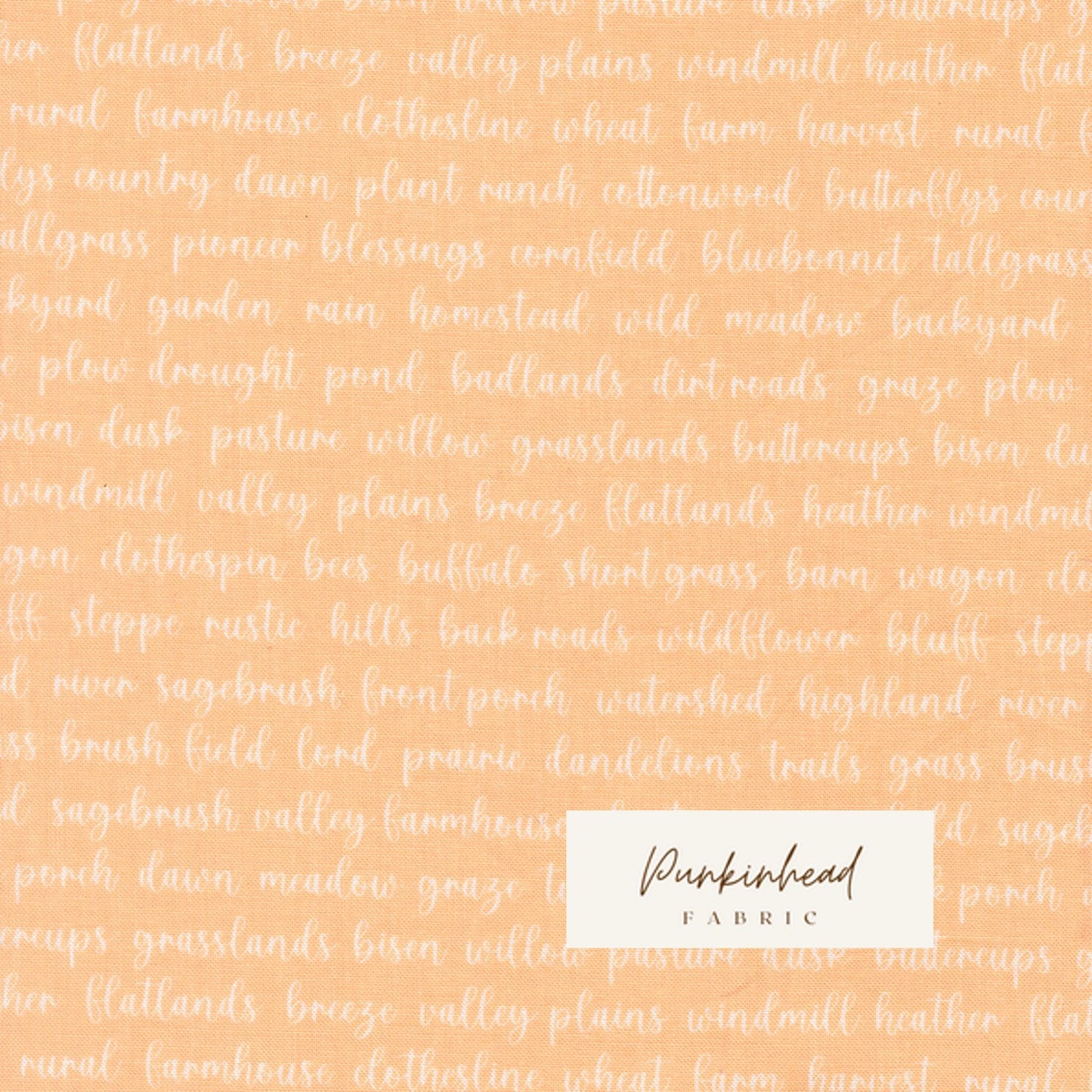 Pastel Prairie Word Text Apricot Peach Pink White Heather Briggs My Sew Quilty Life for Moda Spring Cotton Quilting Fabric