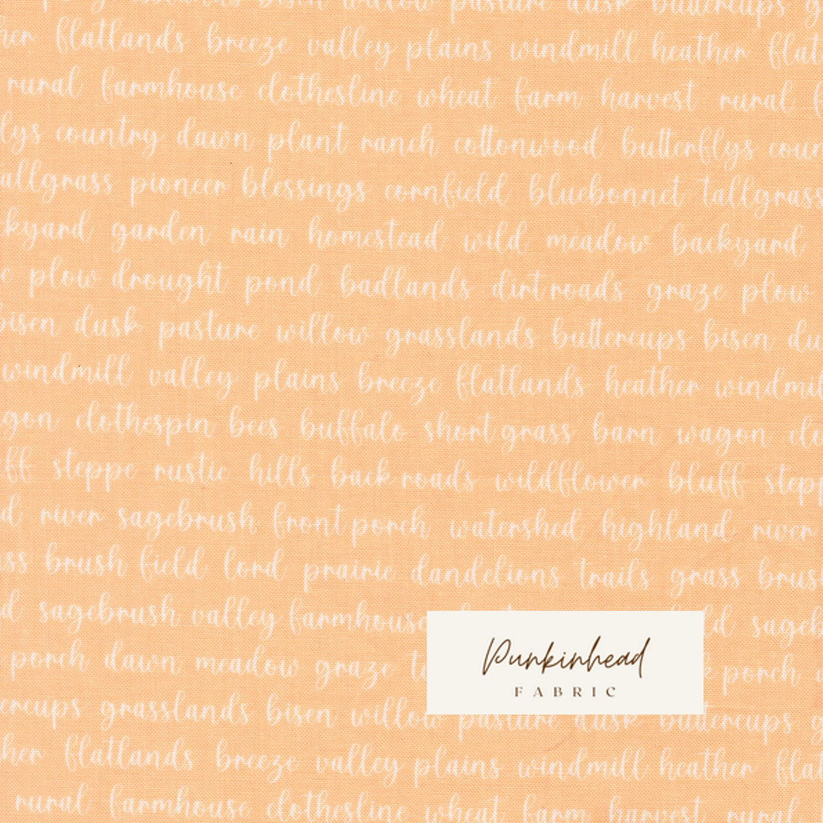 Pastel Prairie Word Text Apricot Peach Pink White Heather Briggs My Sew Quilty Life for Moda Spring Cotton Quilting Fabric