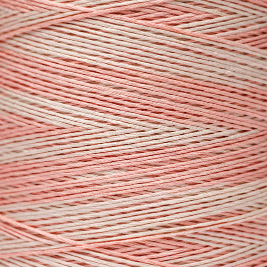 Weeks Dye Works Embroidery Floss Peach Fuzz 1129 - Over Dyed Variegated Cross Stitch Floss 6 Strands