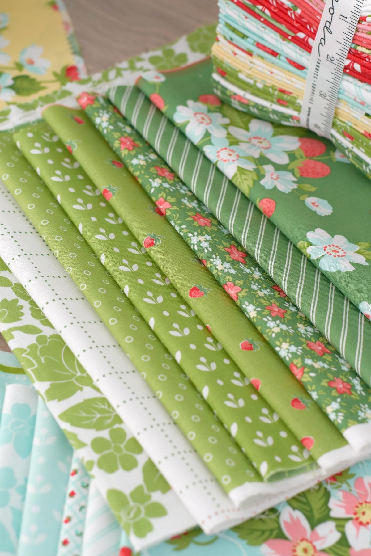 Bloomsberry In Bloom Stripe Red White by Camille Roskelley for Moda Cotton Quilting Fabric by yard