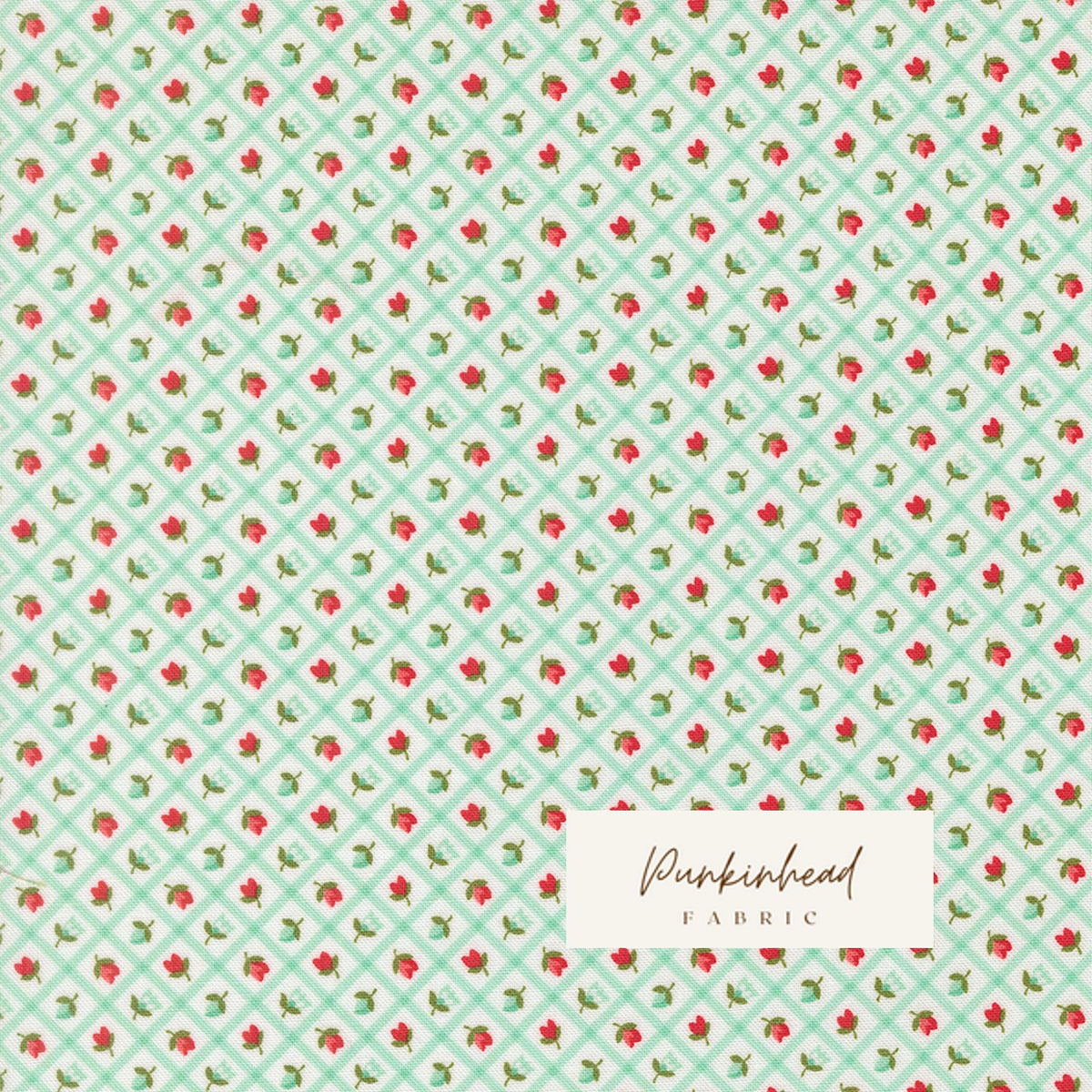 Bloomsberry In Bloom Checks & Plaid Flower Floral Aqua White by Camille Roskelley for Moda Cotton Quilting Fabric by yard